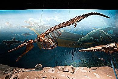 《收获日3》主创：知道自己肩负保证续集质量重任