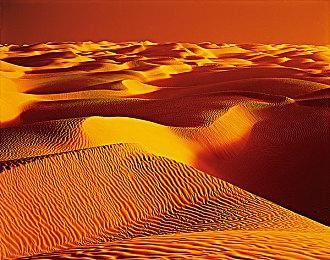 暗黑肉鸽游戏《鸦卫奇旅》追加新角色孙悟空